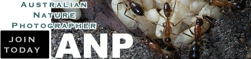 Join Australian Nature Photographer today